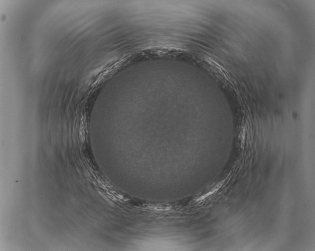 X0000086891014200704231122