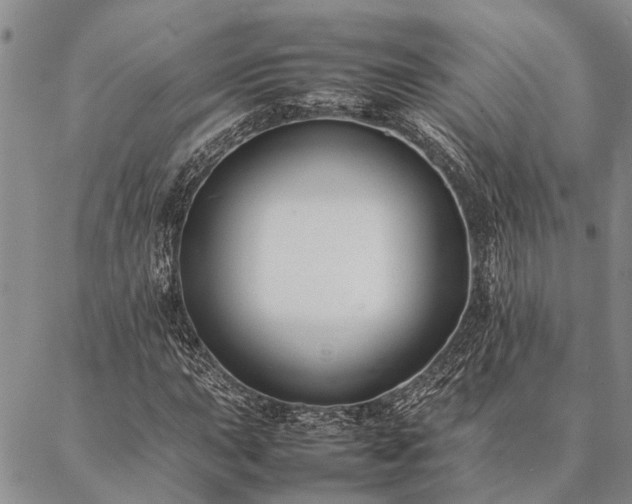 X0000086891015200704231122