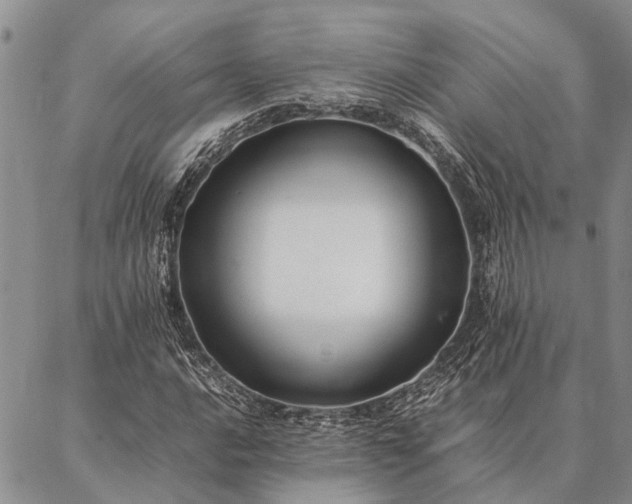 X0000086891016200704231122