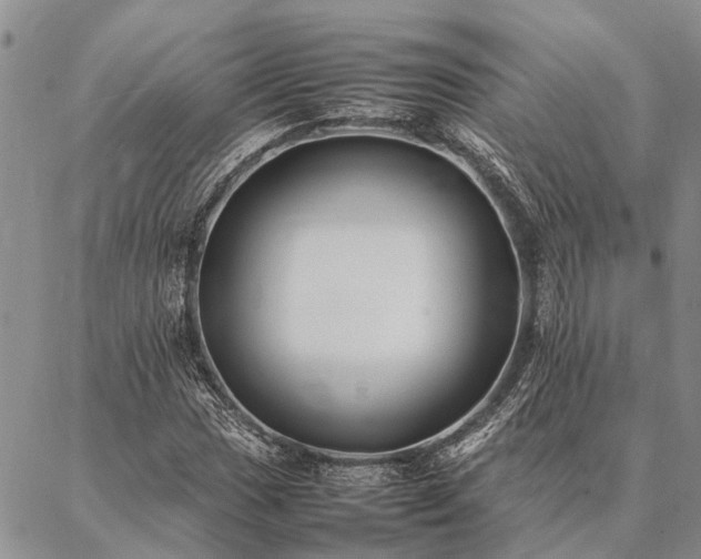 X0000086891017200704231122