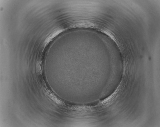 X0000086891018200704231123