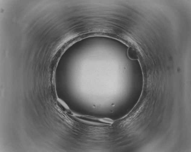 X0000086891019200704231123