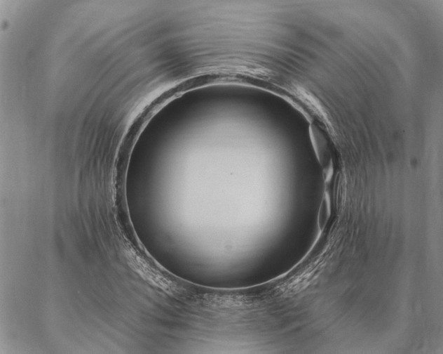 X0000086891020200704231123