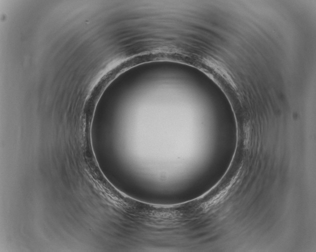 X0000086891021200704231123