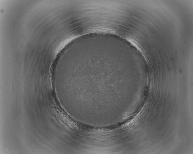 X0000086891022200704231123