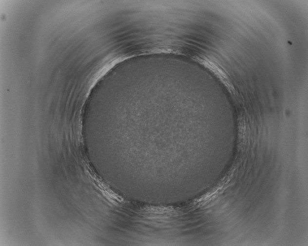 X0000086891023200704231123