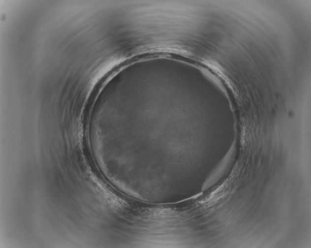 X0000086891024200704231123