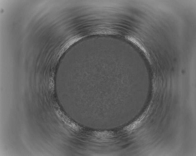 X0000086891025200704231123