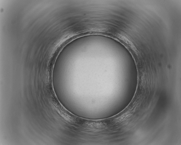 X0000086891027200704231123