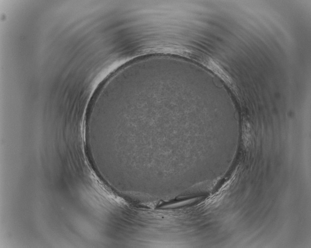 X0000086891028200704231123