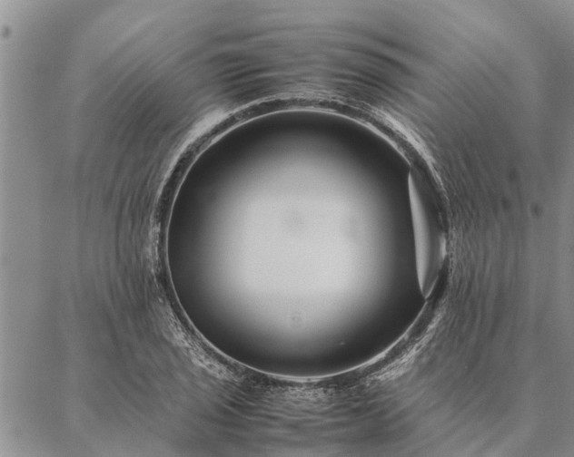 X0000086891029200704231123