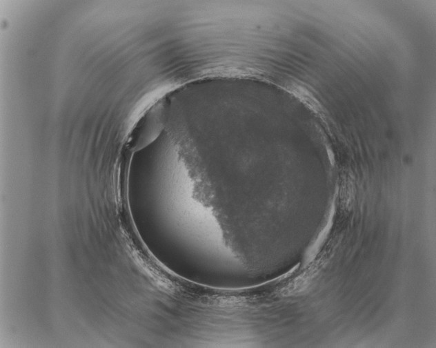 X0000086891030200704231123