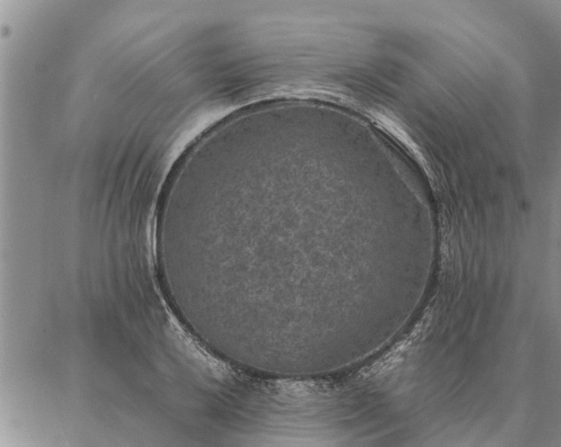 X0000086891032200704231123