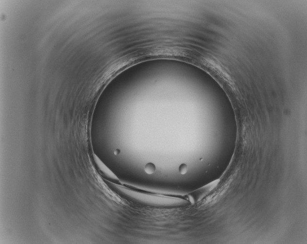 X0000086891033200704231123