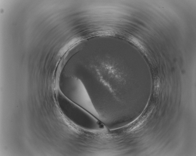 X0000086891034200704231123