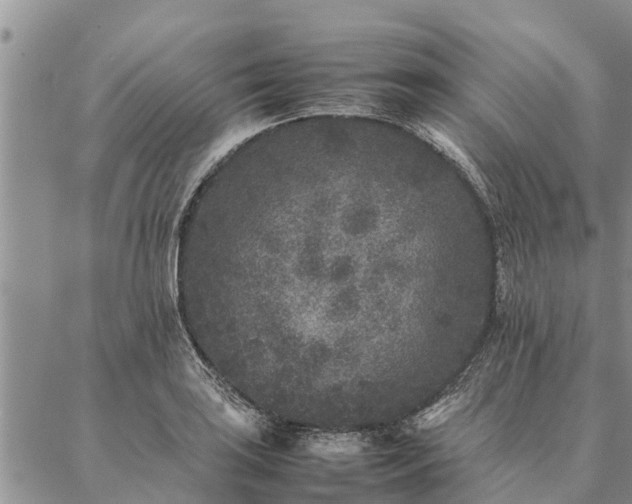 X0000086891035200704231123