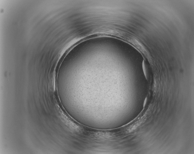 X0000086891036200704231123