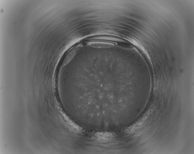 X0000086891037200704231123