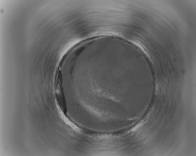 X0000086891038200704231123