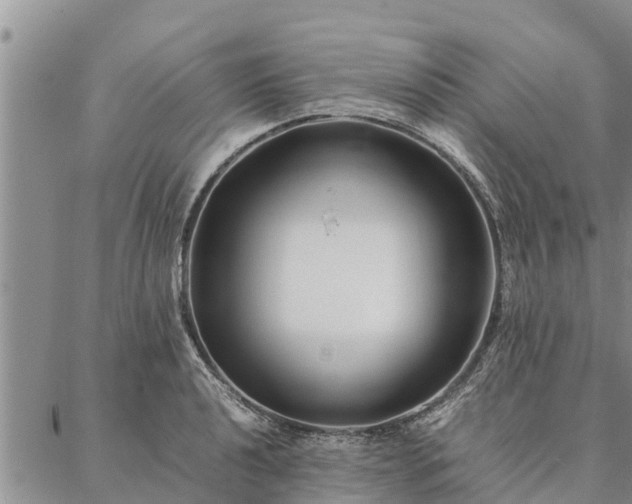 X0000086891040200704231123