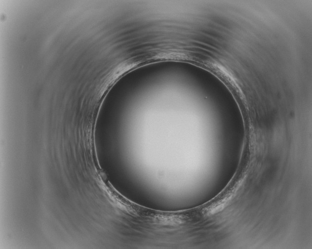 X0000086891041200704231123