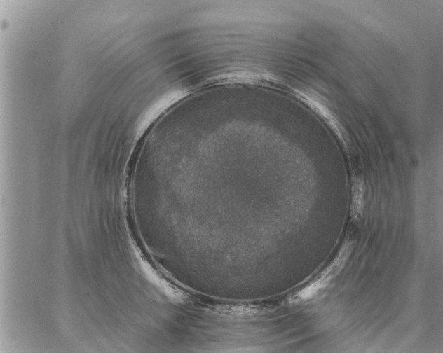 X0000086891042200704231123