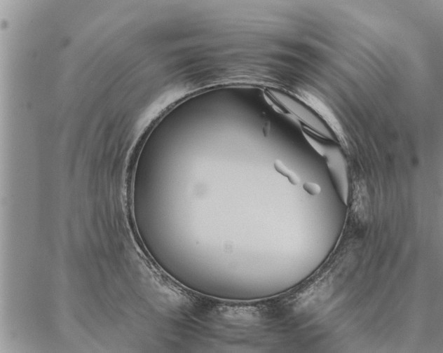 X0000086891043200704231123