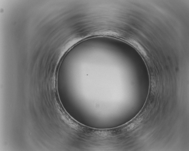 X0000086891044200704231123