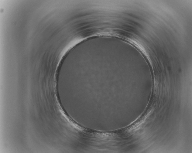 X0000086891045200704231123