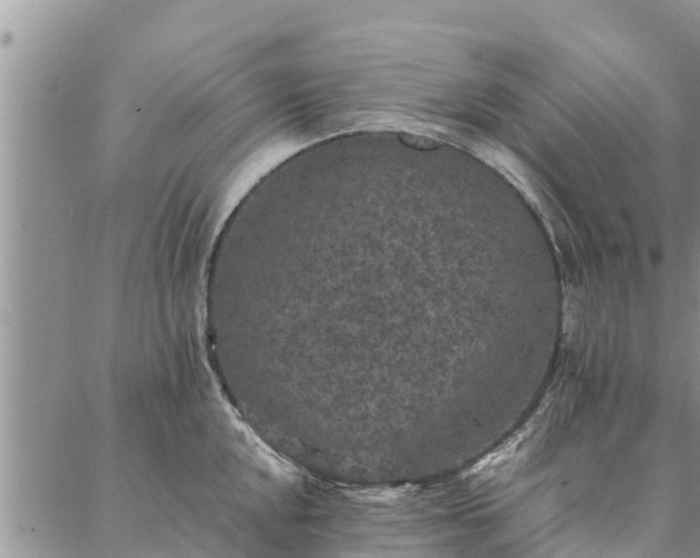 X0000086891048200704231123