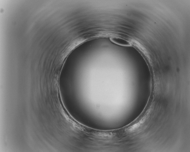 X0000086891049200704231123