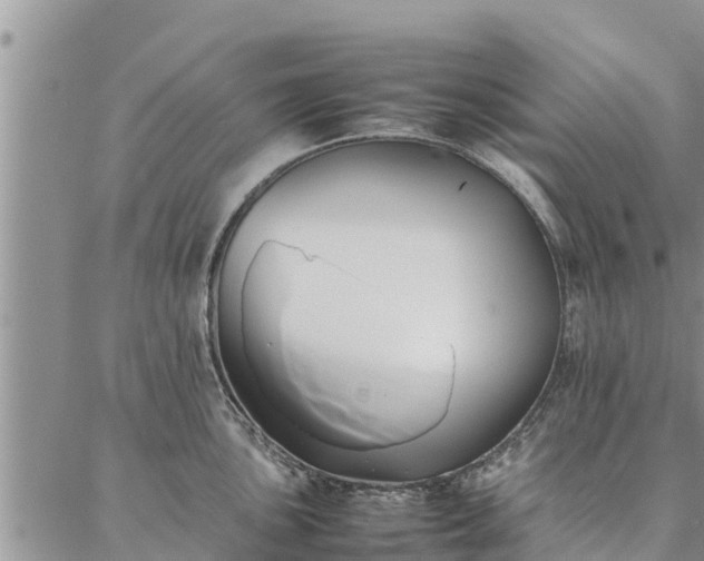 X0000086891051200704231123