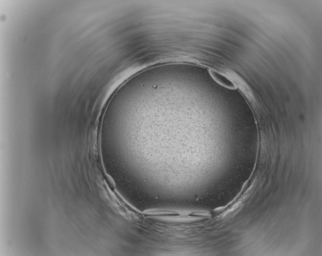 X0000086891052200704231123