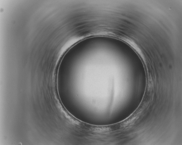 X0000086891053200704231123