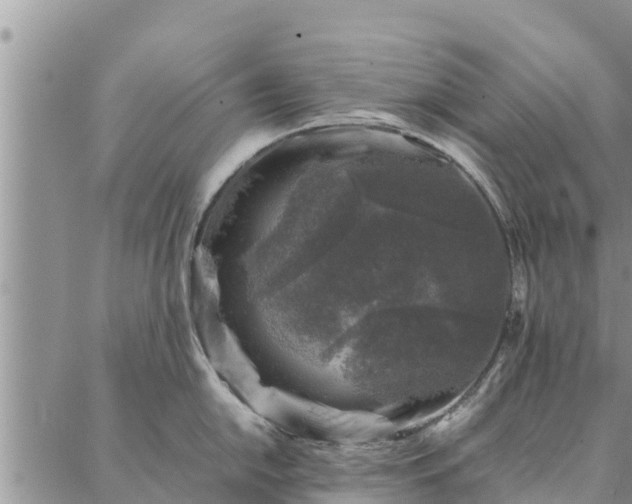 X0000086891054200704231123