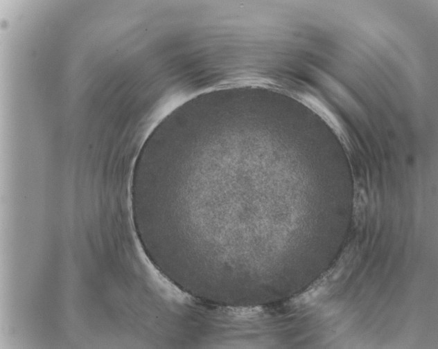 X0000086891055200704231123