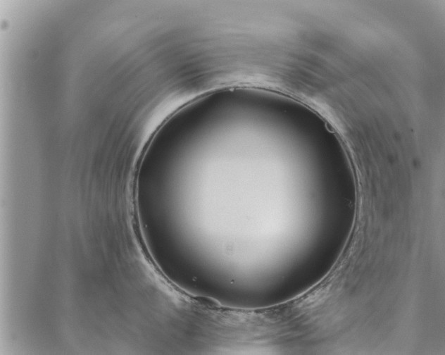 X0000086891056200704231123