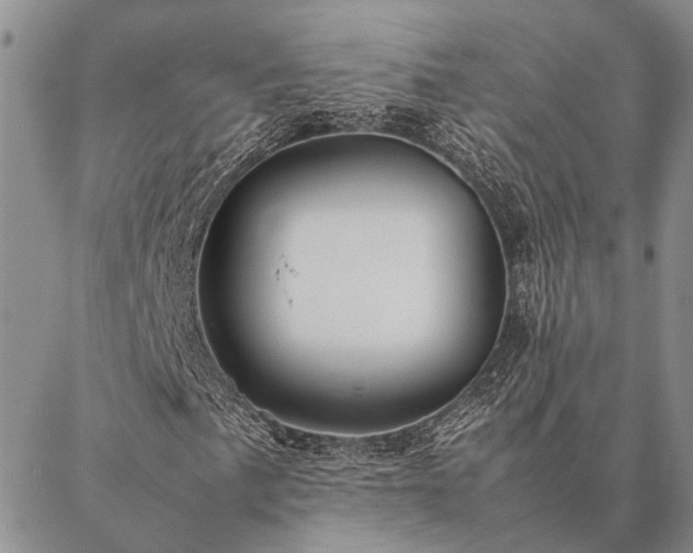 X0000086891057200704231122