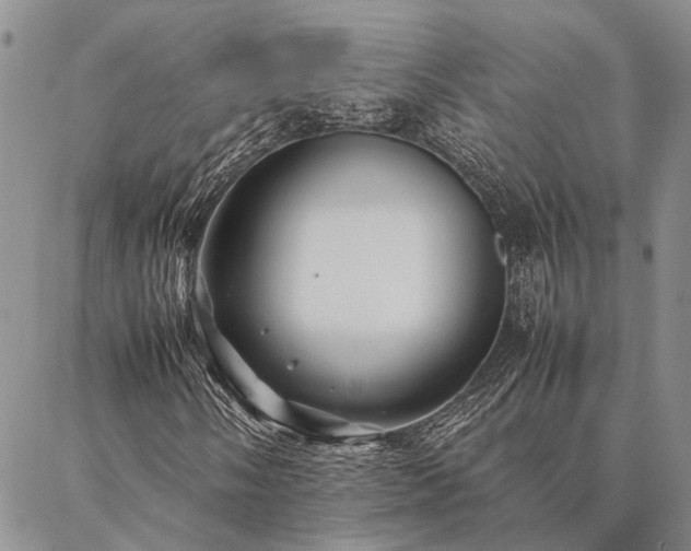 X0000086891058200704231122