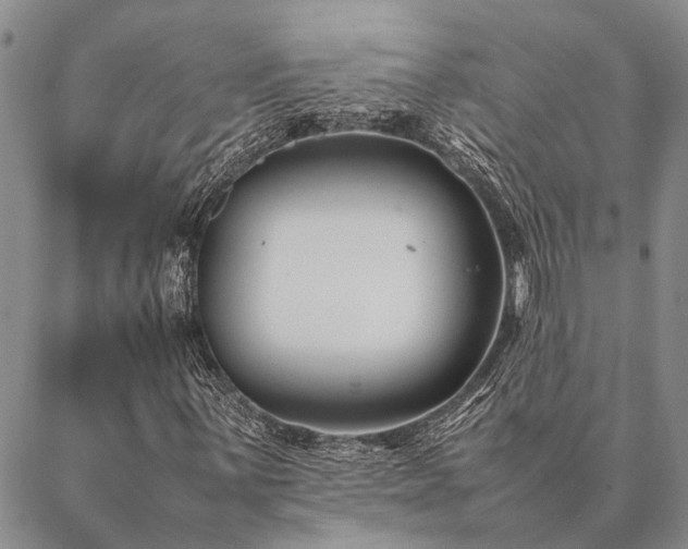 X0000086891059200704231122