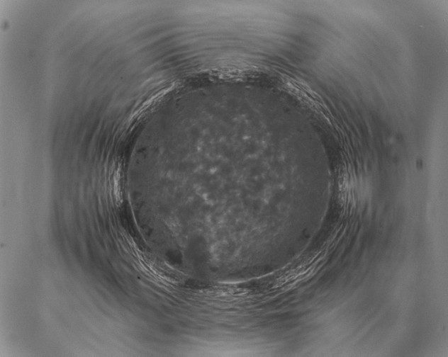 X0000086891060200704231122