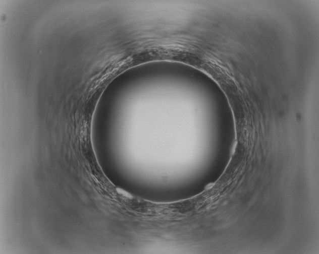 X0000086891061200704231122