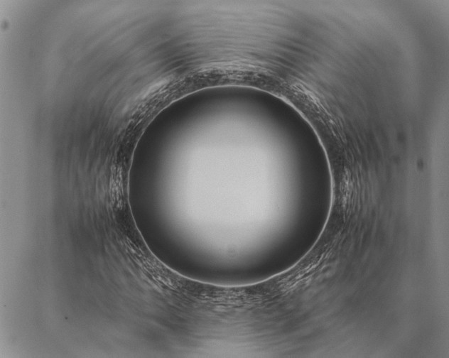 X0000086891062200704231122