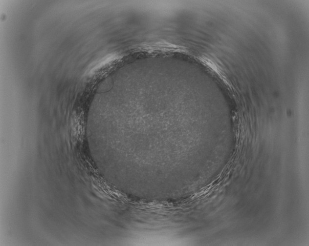 X0000086891063200704231122