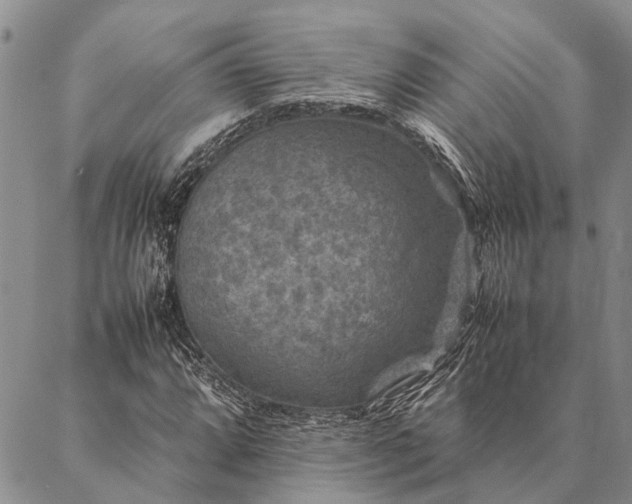 X0000086891064200704231122