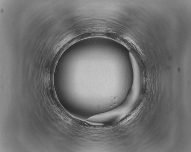 X0000086891065200704231122