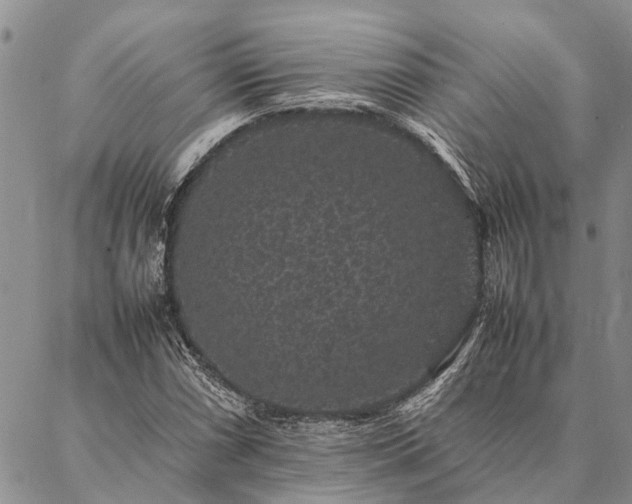 X0000086891066200704231122