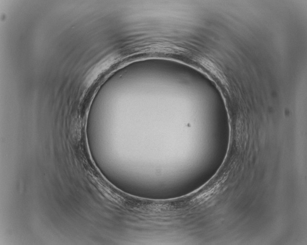 X0000086891067200704231122