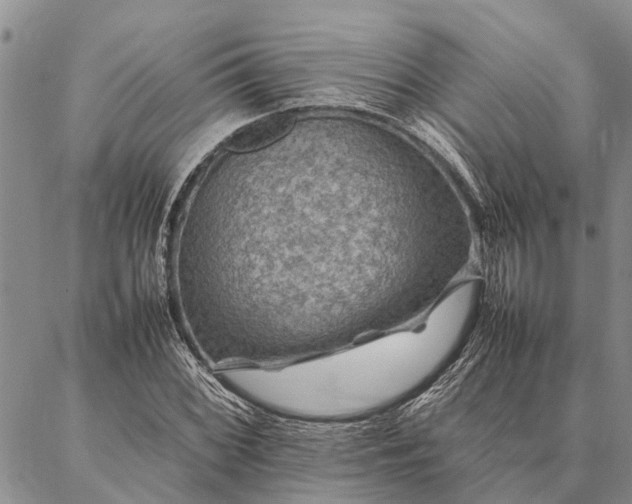 X0000086891068200704231122