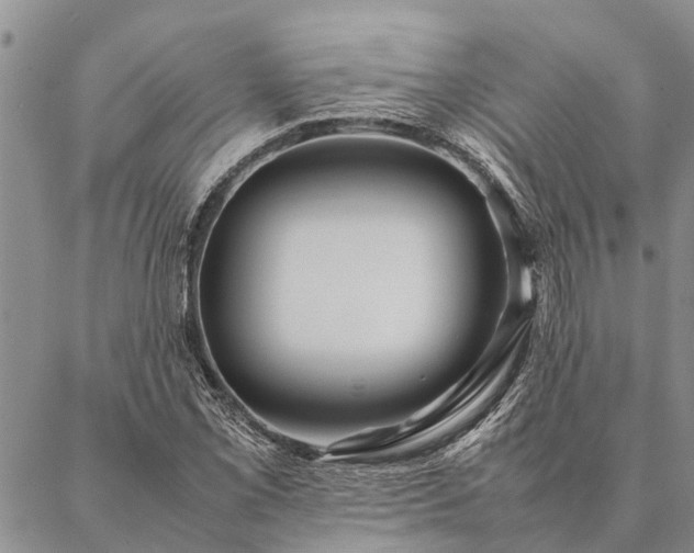 X0000086891069200704231122